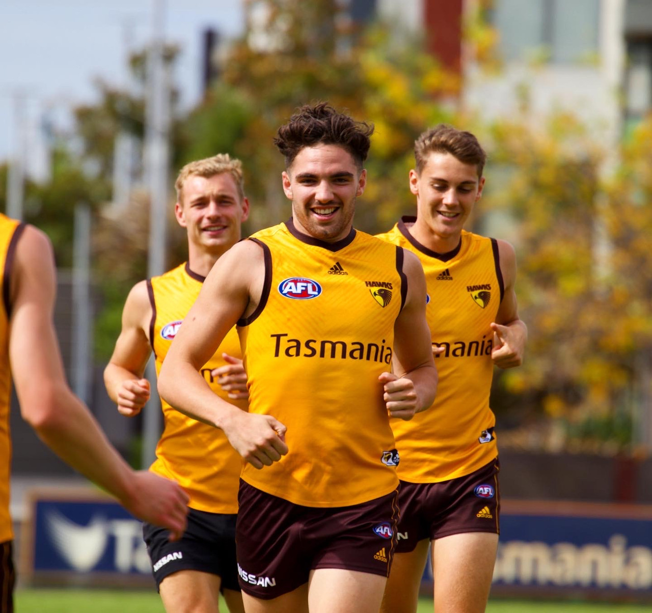 Hawthorn Fc Adidas Gold Training Jumper 2020