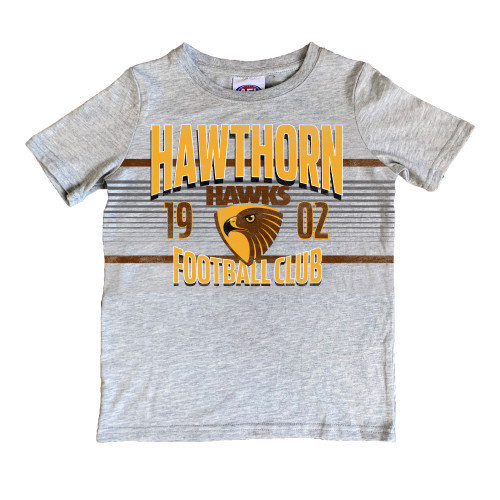 Hawthorn Football Club Youth 2020 Grey Printed Tee