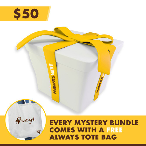 Hawthorn Football Club Youth Mystery Bundle