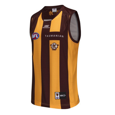 Hawthorn 2025 ISC 100 Year Mens Home Guernsey