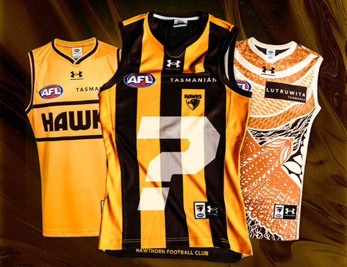 Hawthorn Player Issue Mystery Guernsey
