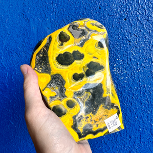 Bumble-bee Jasper Bumble-bee Jasper