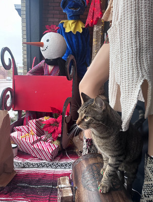 Don’t Miss It: Shakedown Street’s Must-See Holiday Wonderland!