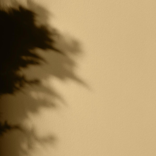 Peinture - La Premium - Mat Velours - Couleur CHAPEAU - Patch matière