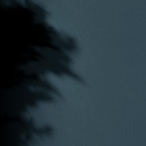 Peinture - La Premium - Mat Velours - Couleur ATLANTIDE - Patch matière