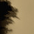Peinture - La Céramat - Mat Profond - Couleur  MATCHA