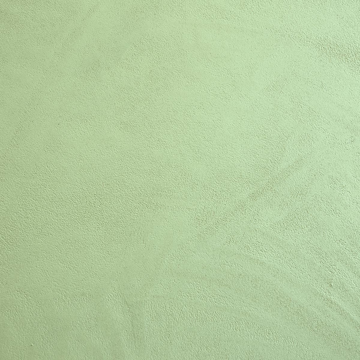 Béton Ciré - Enduit Béton Coloré - Wasabi - Echantillon Matière & Couleur