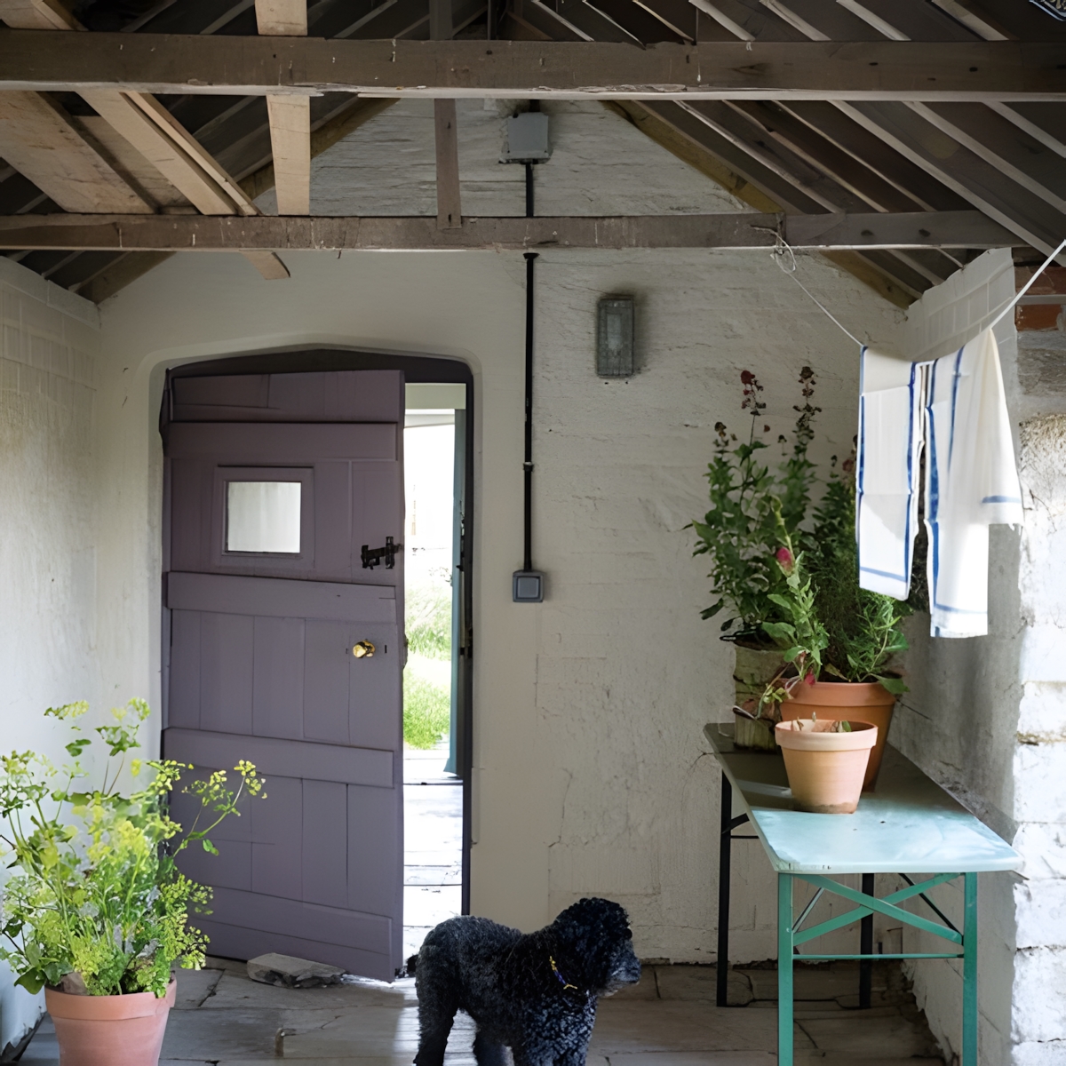 Peinture Modern Emulsion  - Mat Lavable  - Couleur 226 JOA'S WHITE - 5 Litres