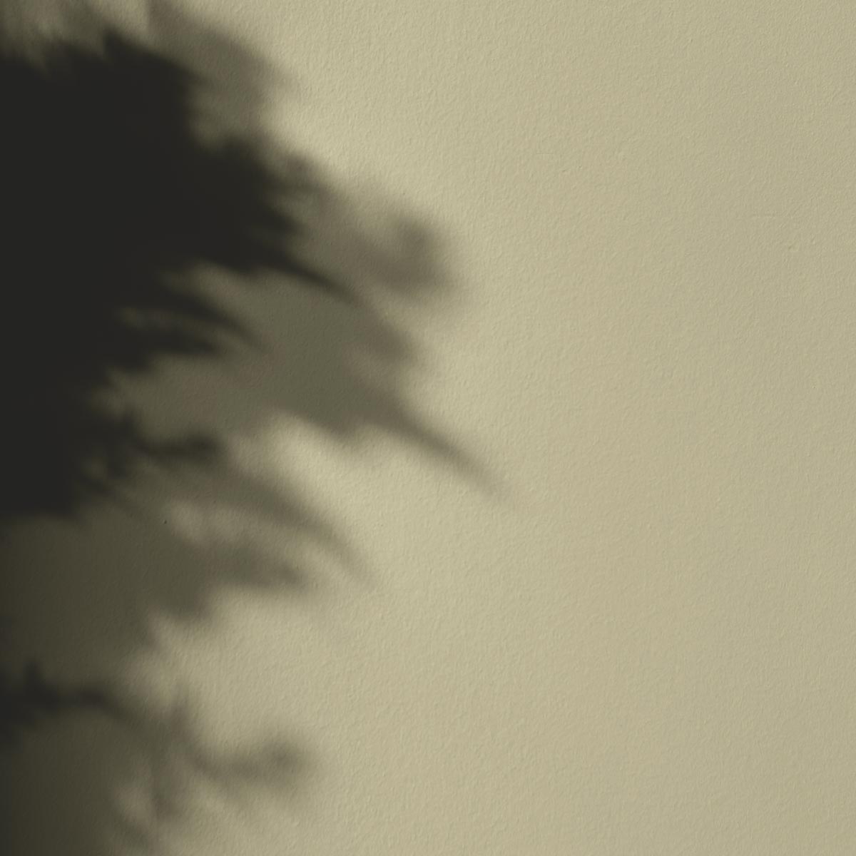 Peinture Mercadier - La Céramat - Joubarbe - 5 Litres