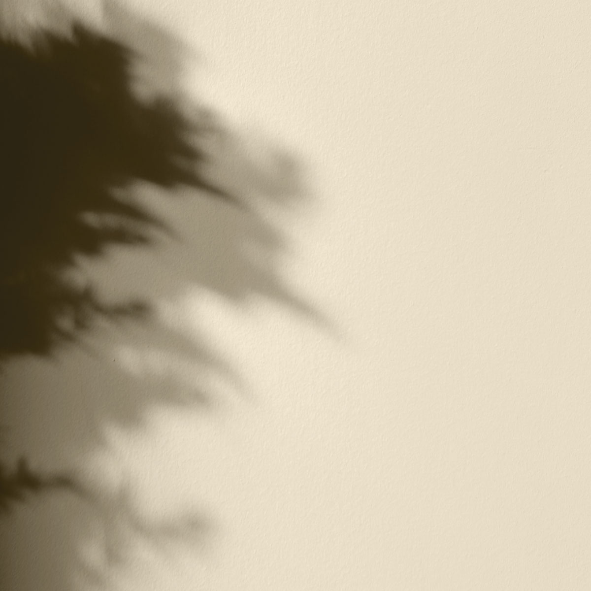 Peinture - La Premium - Sainte Barbe - 10 Litres