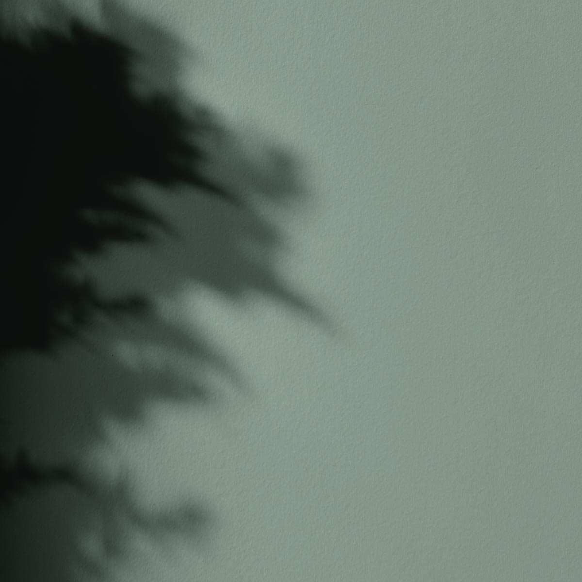 Peinture Mercadier - La Spéciale - Satin à brillant - Couleur  FIGUIER - 10L