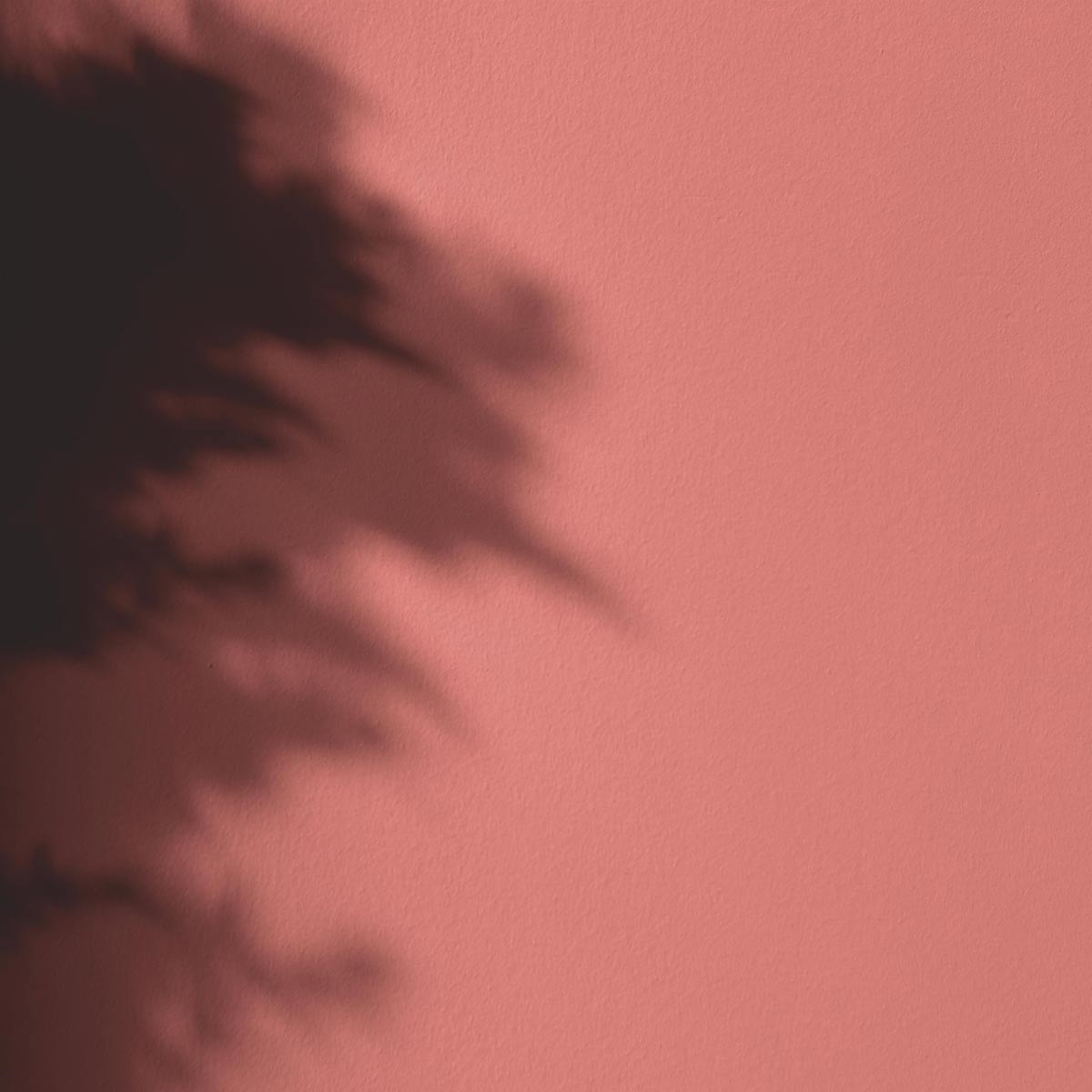 Peinture Mercadier - La Spéciale - Satin à brillant - Couleur  ALBERTE - 2,5L