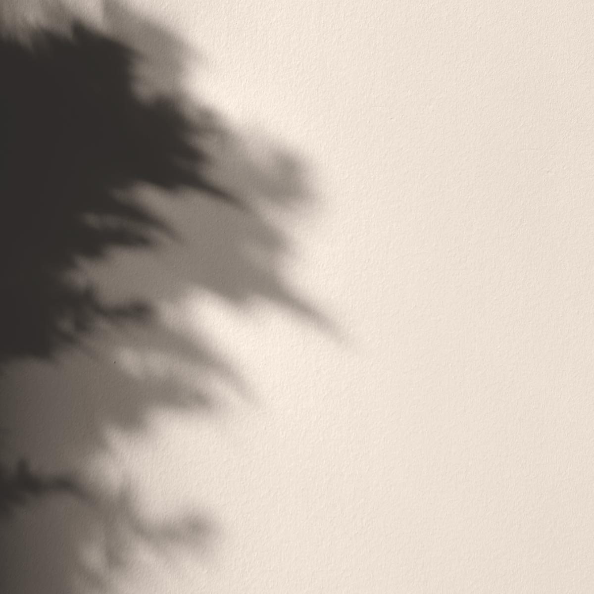 Peinture Mercadier - La Spéciale - Satin à brillant - Couleur  ECUME - 2,5L