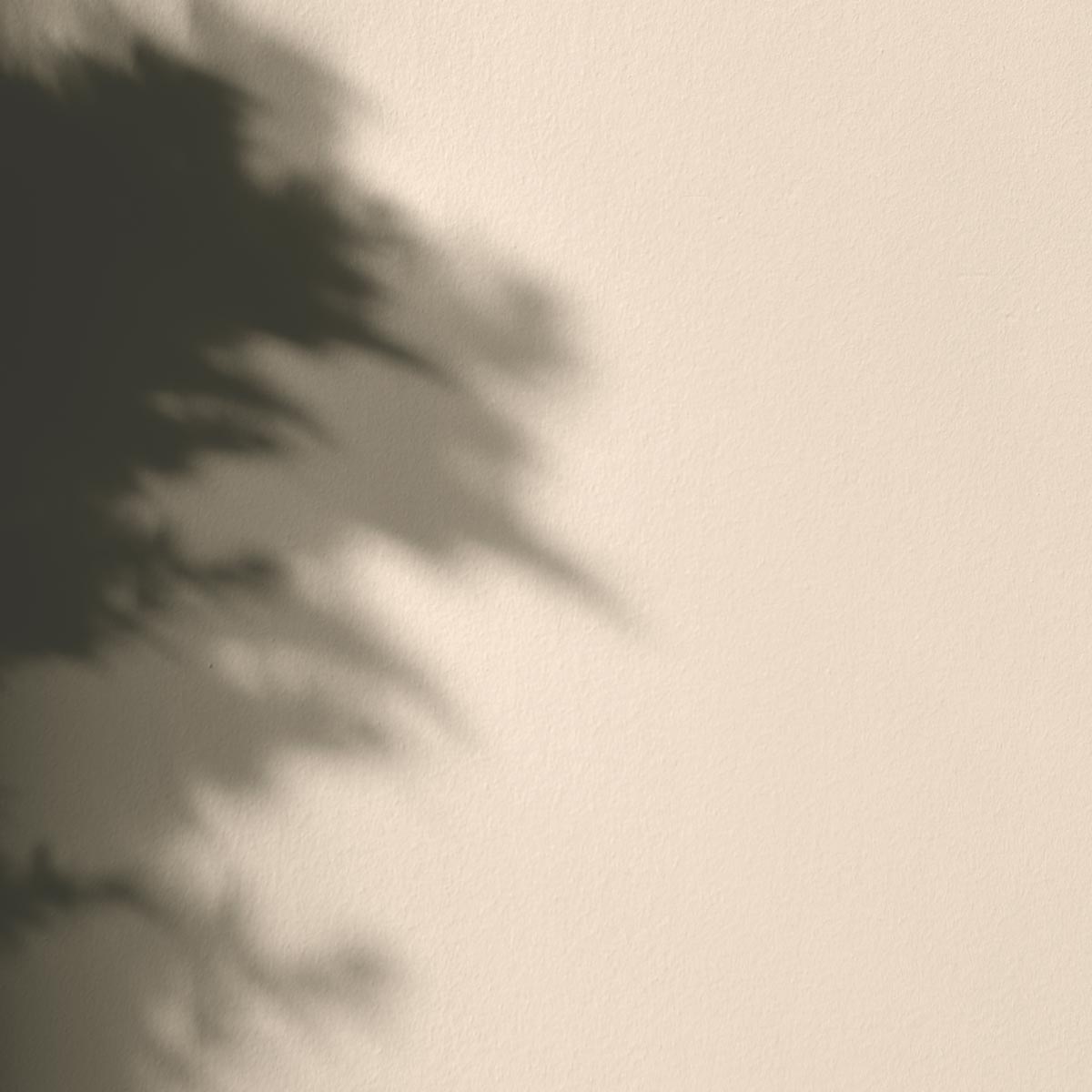 Peinture Mercadier - La Spéciale - Satin à brillant - Couleur  FERNAND - 2,5L