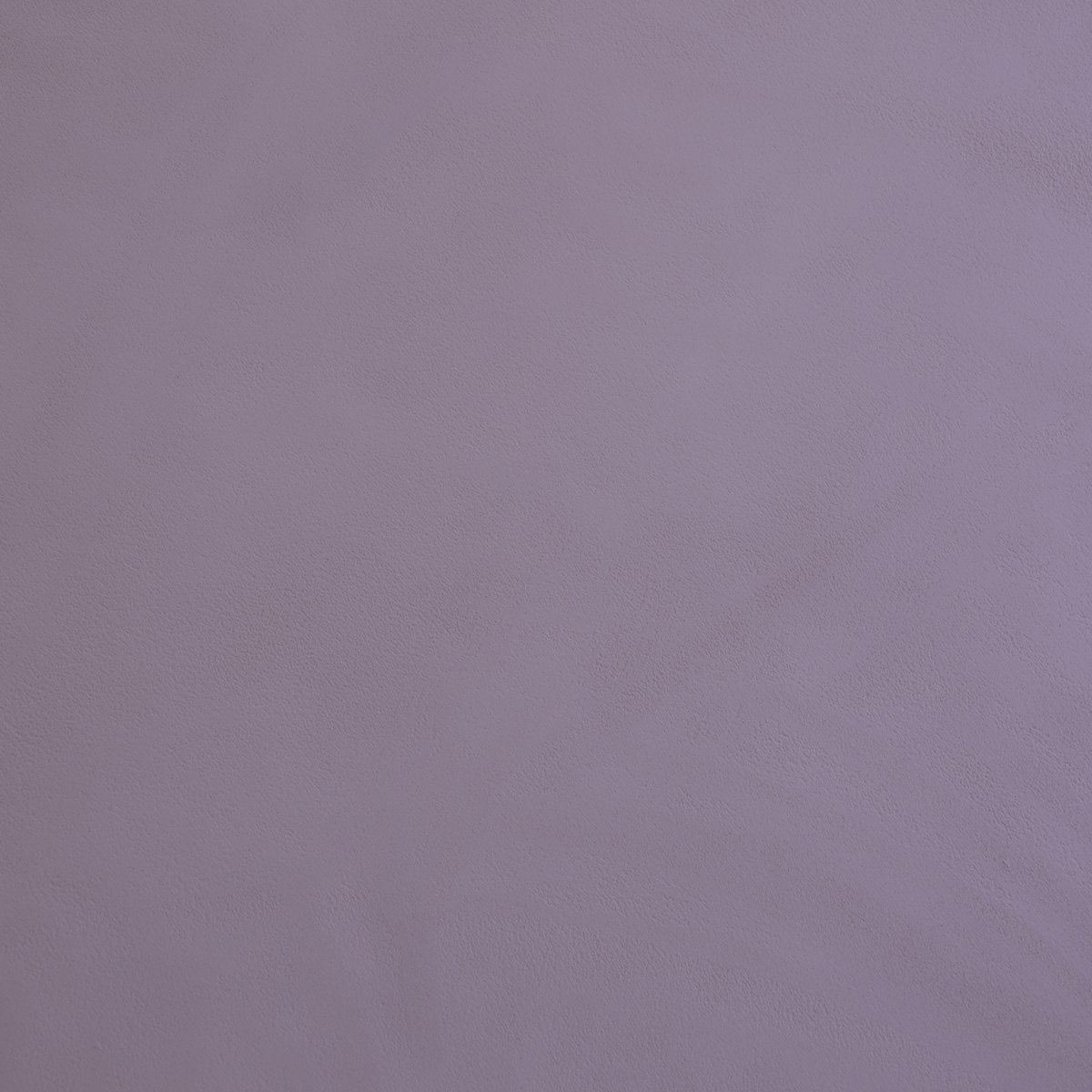 Finition Béton Lisse - Couleur SARI - 5 Kg