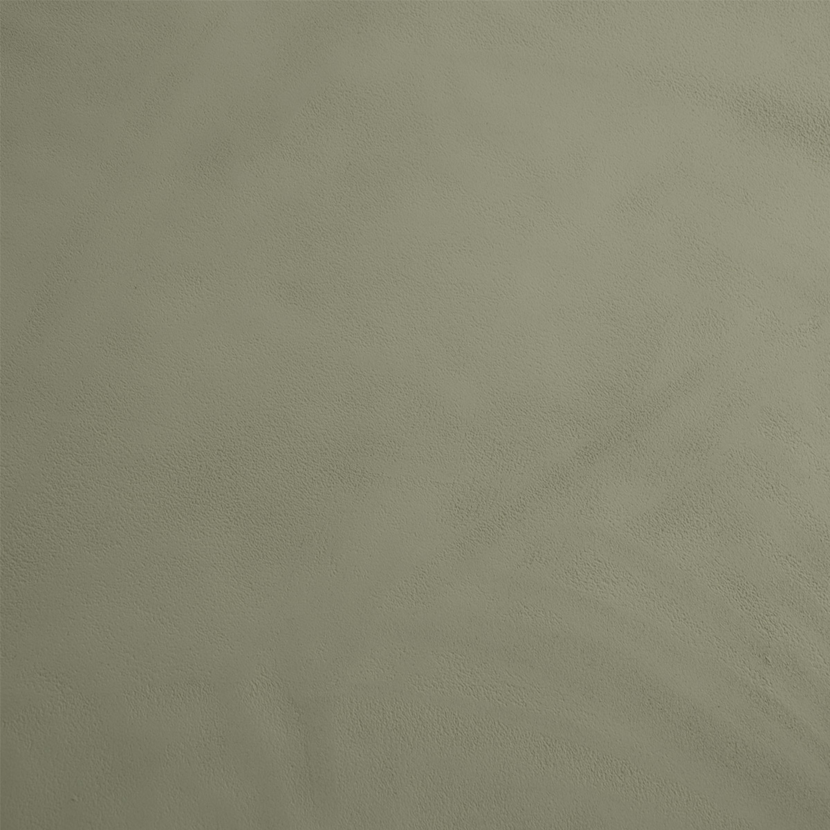 Finition Béton Lisse - Couleur JOUBARBE
