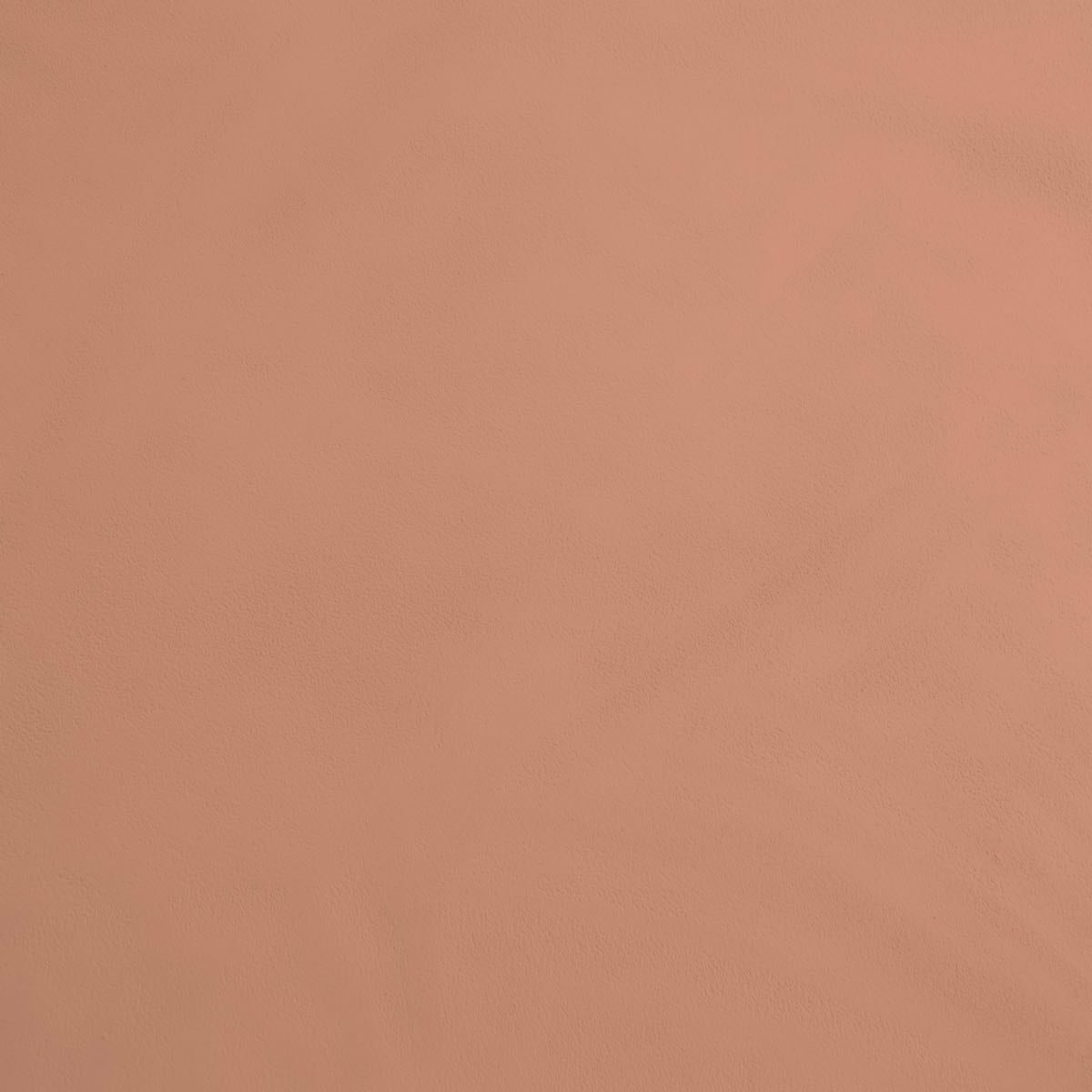 Finition Béton Lisse - Couleur PALACE - 5 Kg