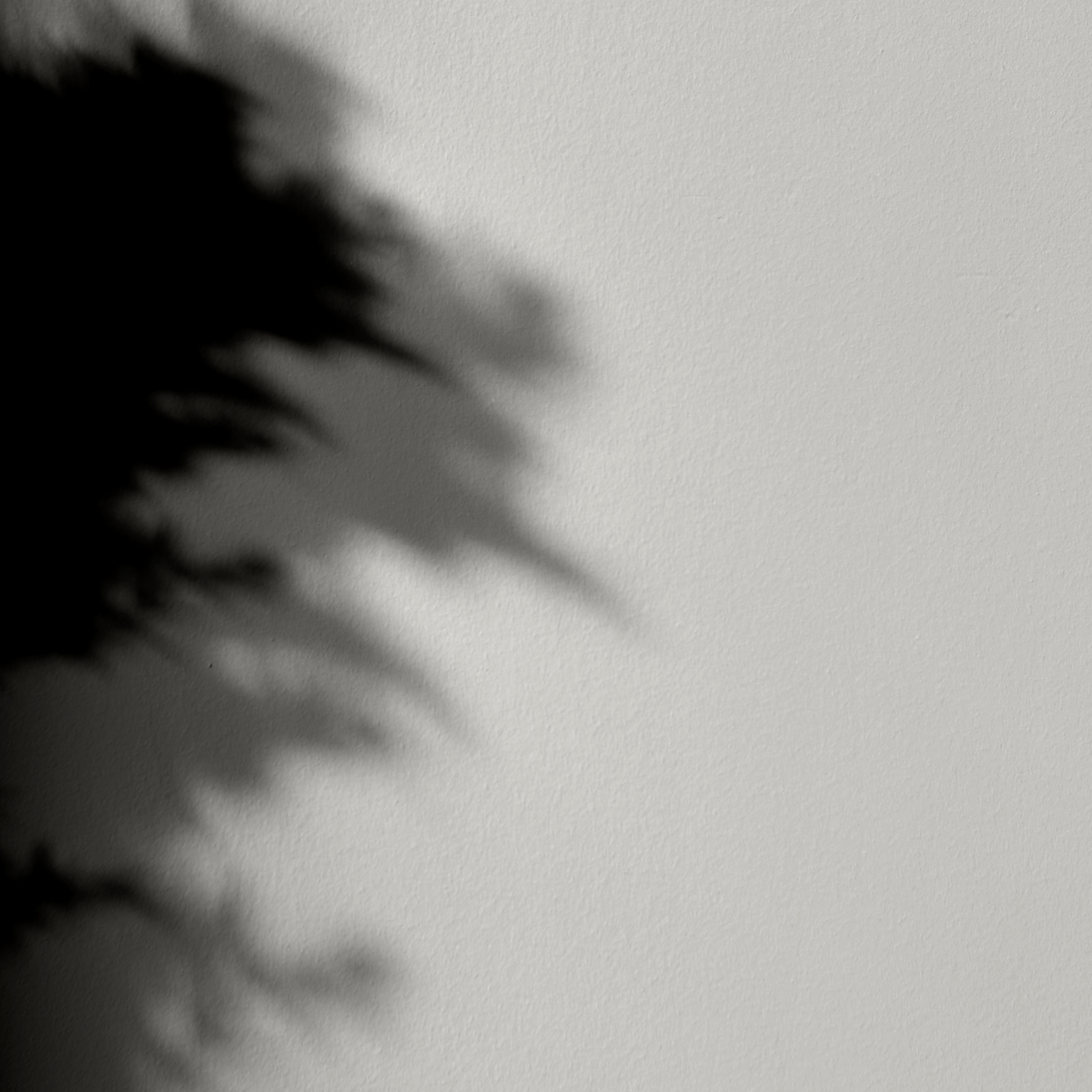 Peinture - Mercadier - La Céramat - FUJI - 1 Litre