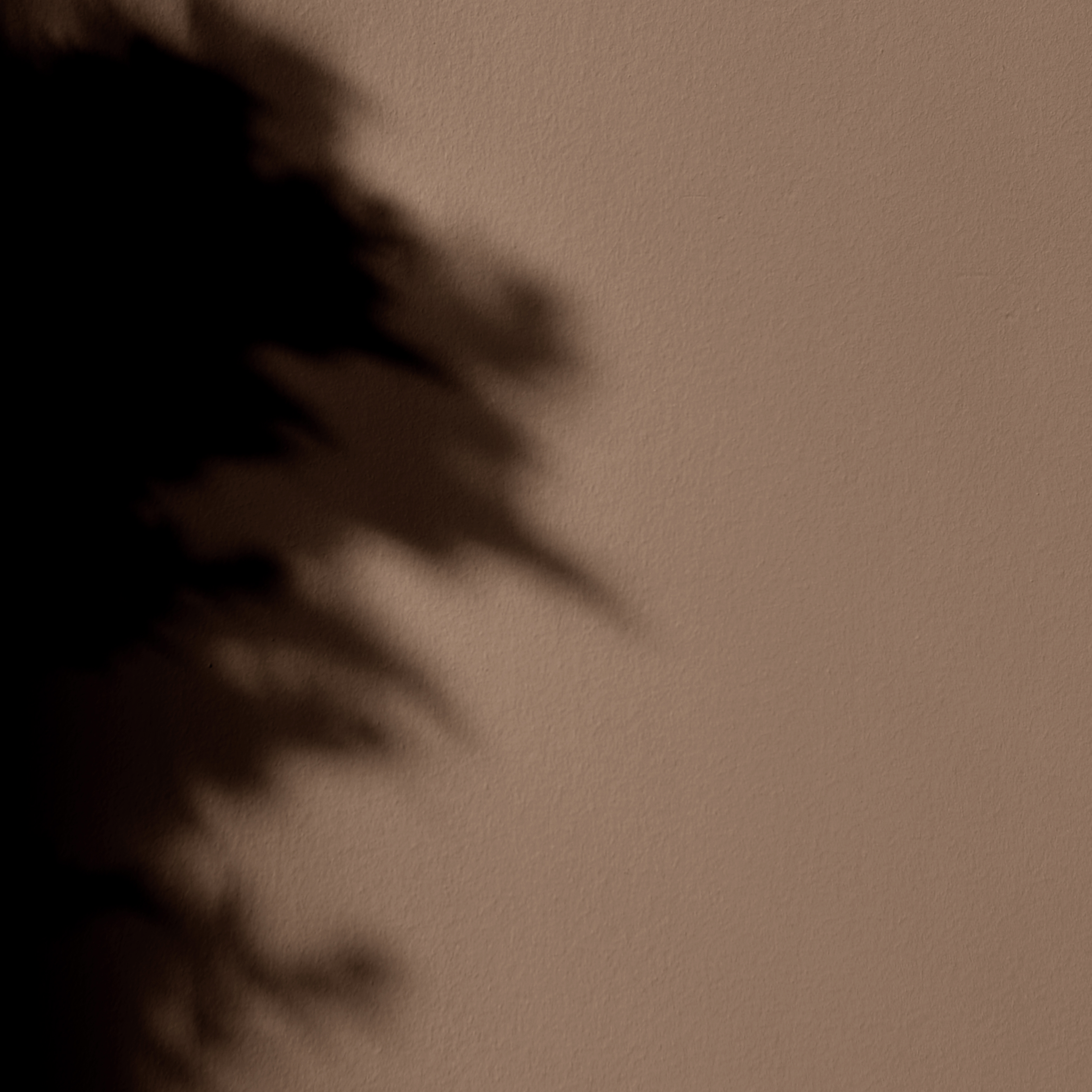 Peinture - Mercadier - La Céramat - KOHI - 2,5 Litres