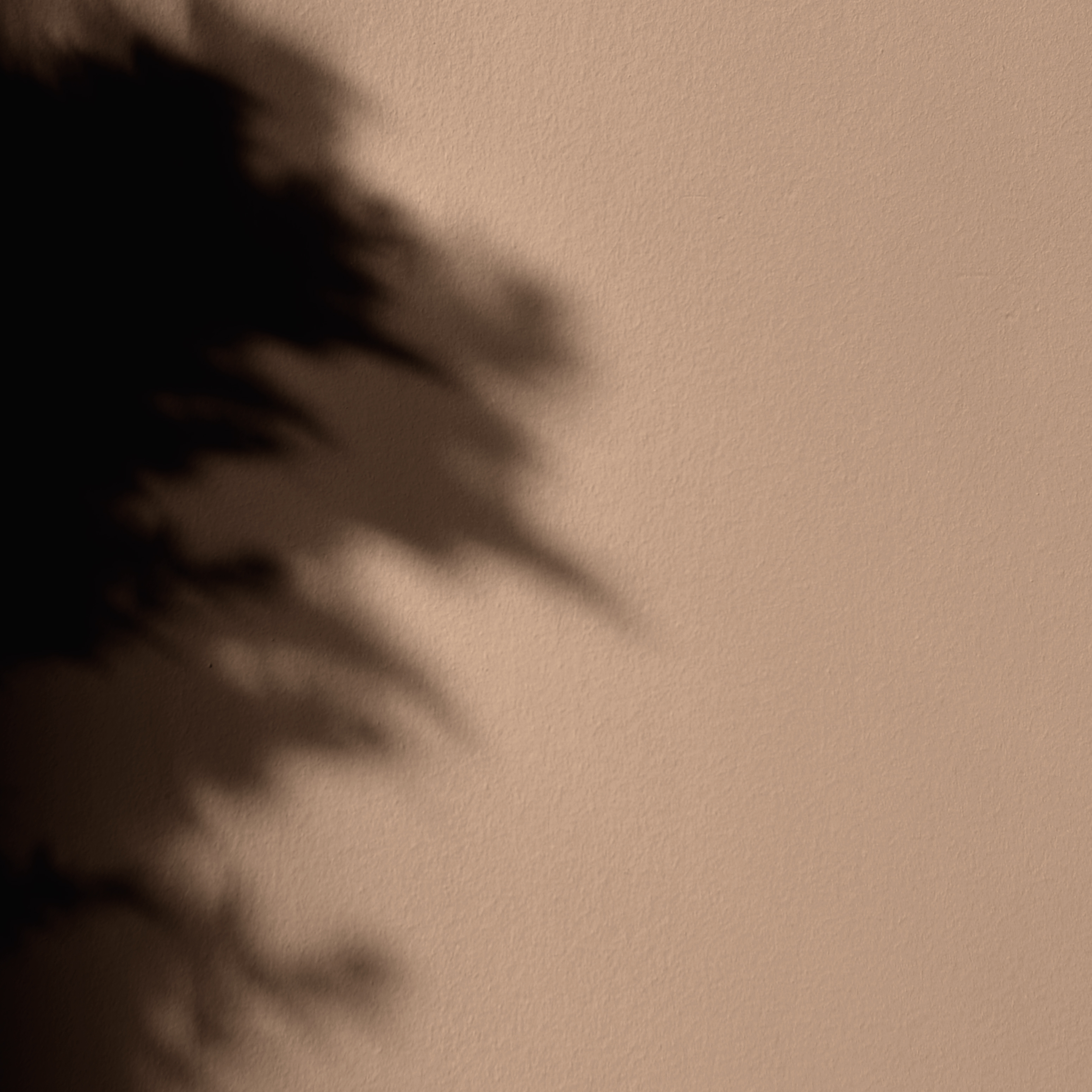 Peinture - Mercadier - La Céramat - SABI - 2,5 Litres