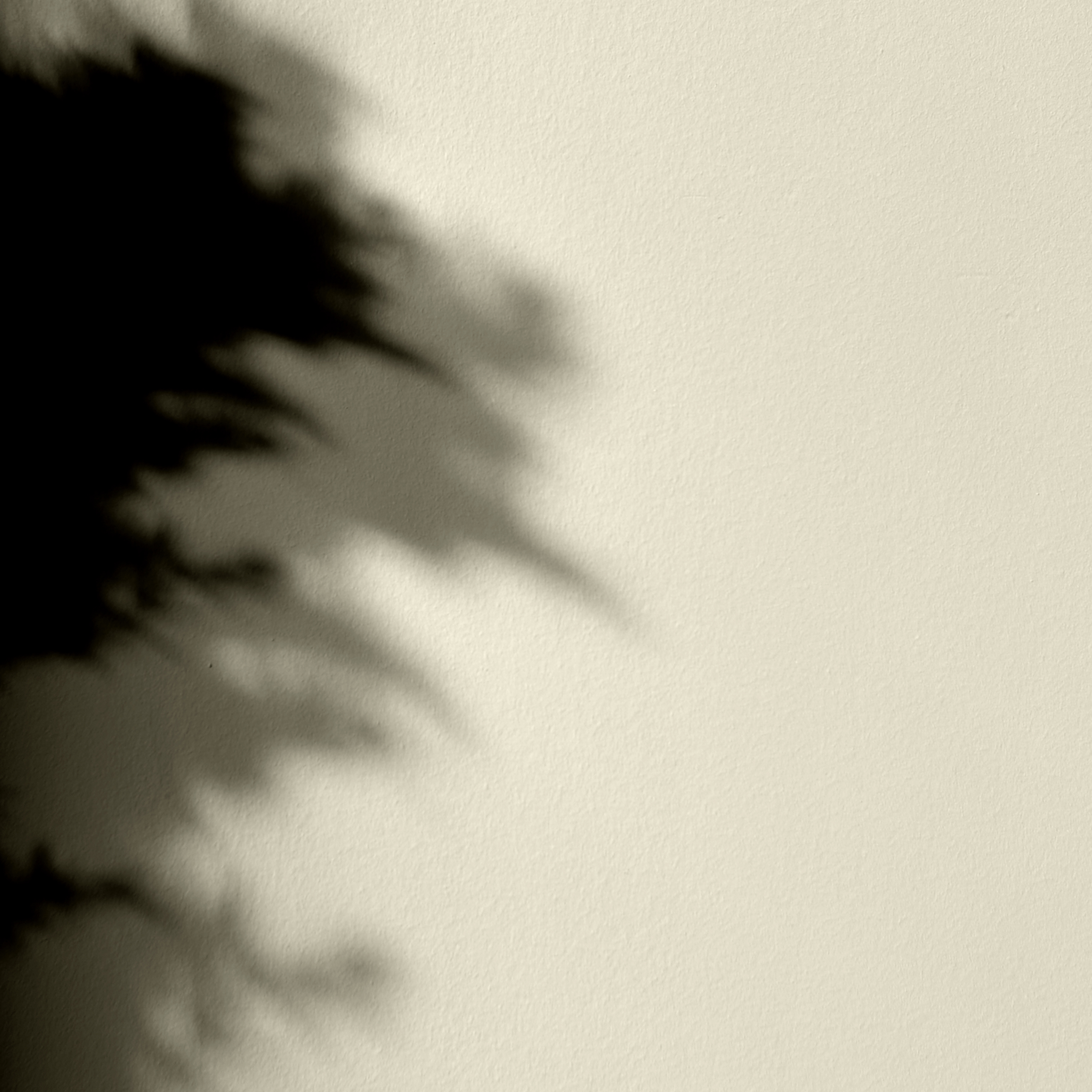 Peinture - Mercadier - La Céramat - SEIJI - 2,5 Litres