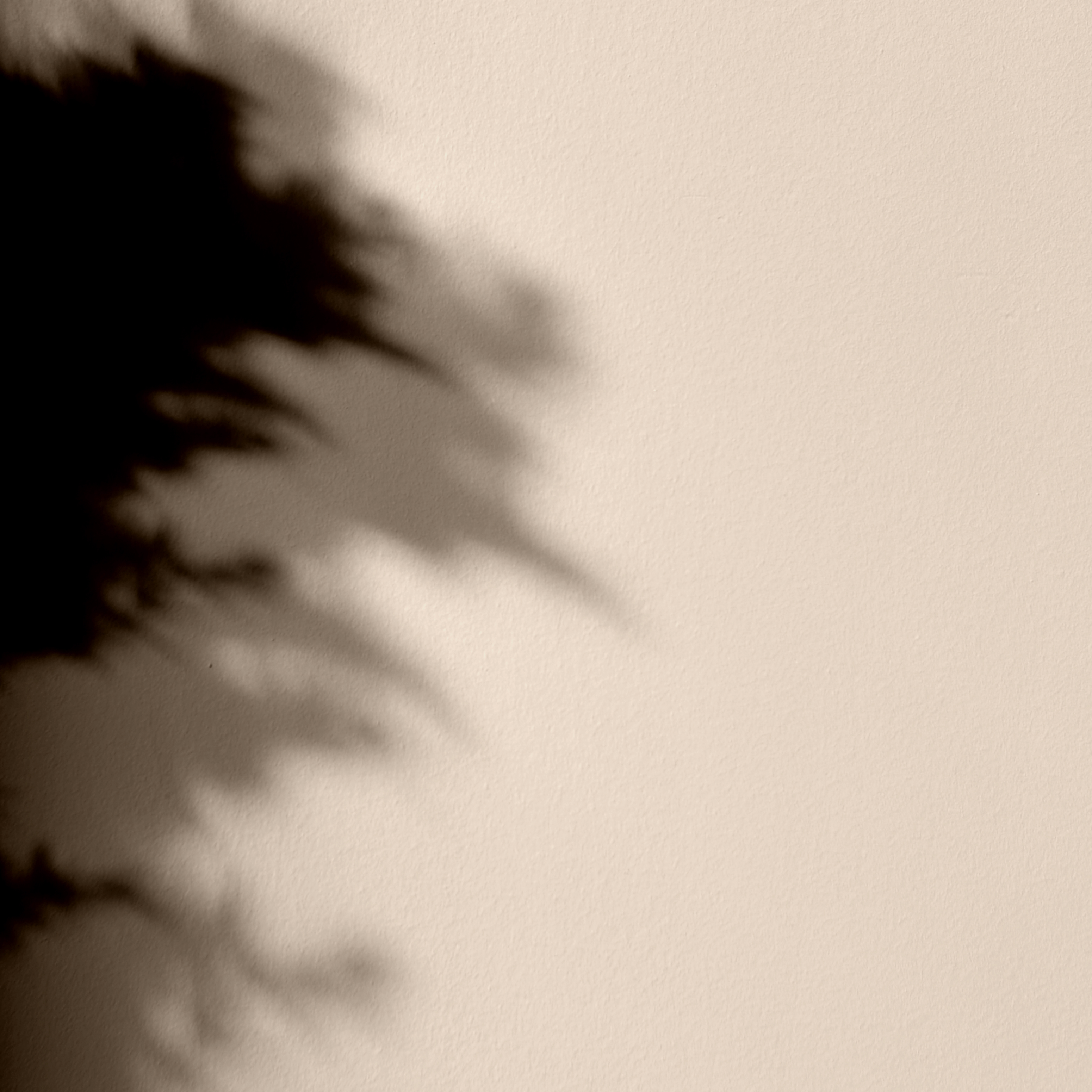 Peinture - Mercadier - La Céramat - SAKURA - 2,5 Litres