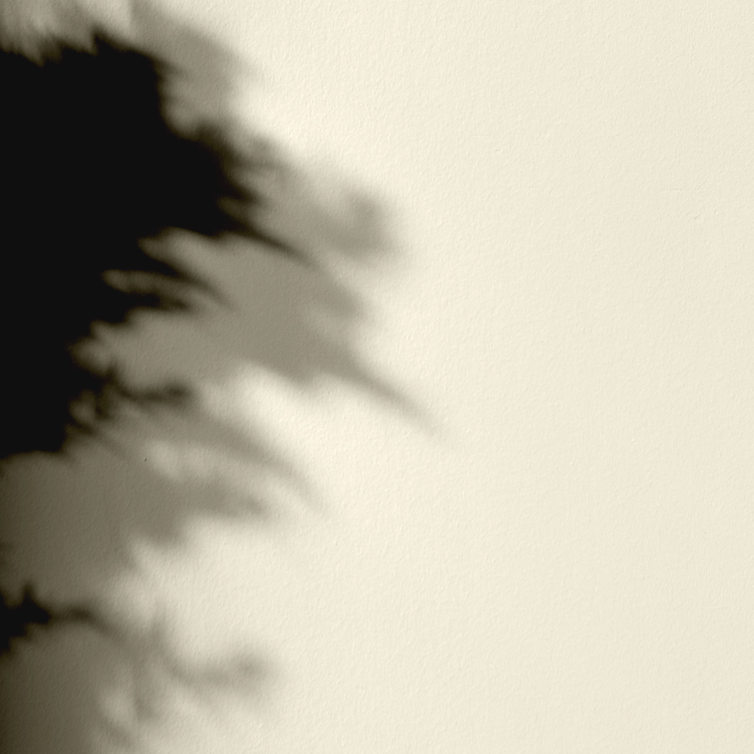 Peinture - Mercadier - La Céramat - SUNA  - 2,5 Litres