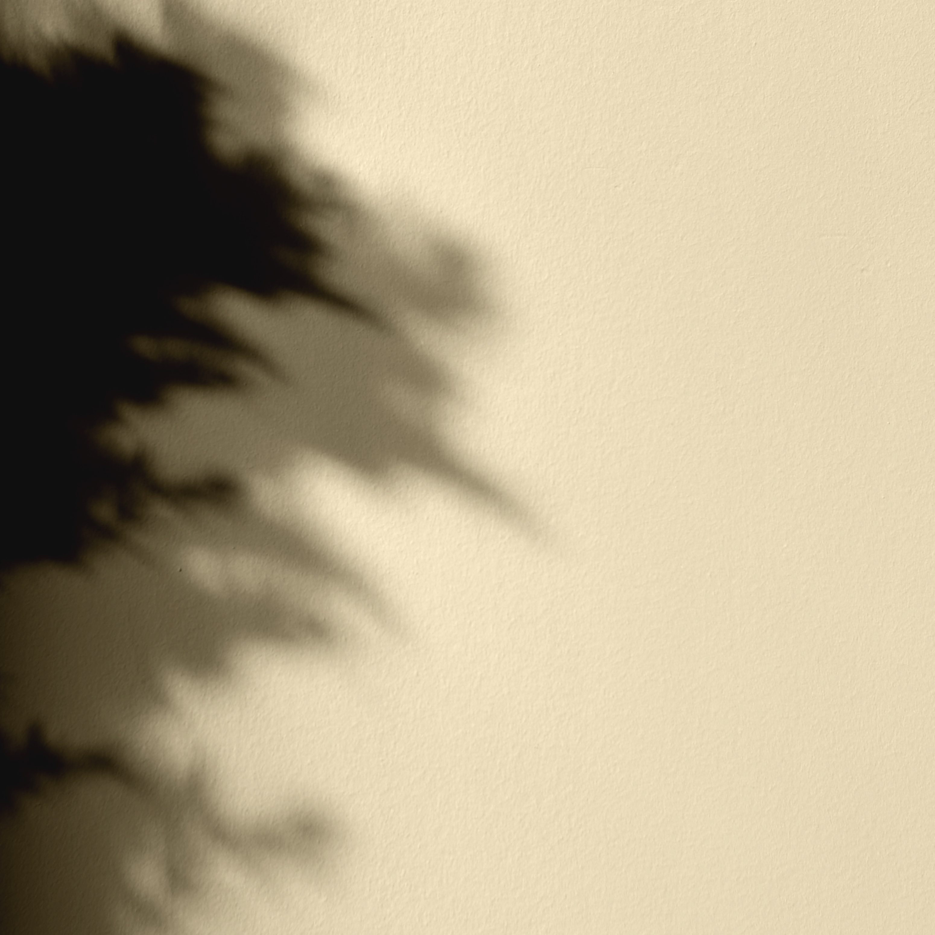 Peinture - Mercadier - La Céramat - SAKE - 5 Litres