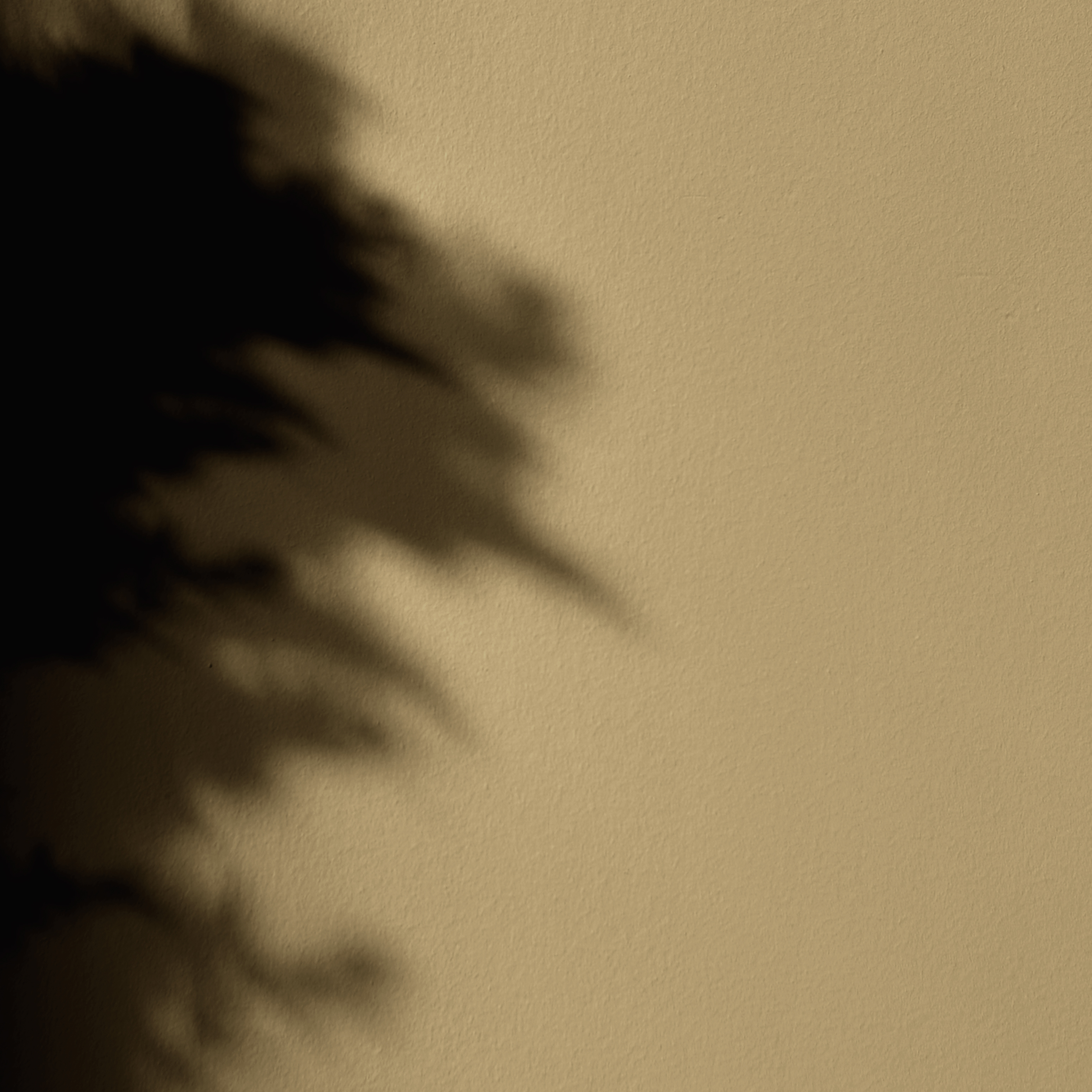 Peinture La Céramat - Couleur MATCHA