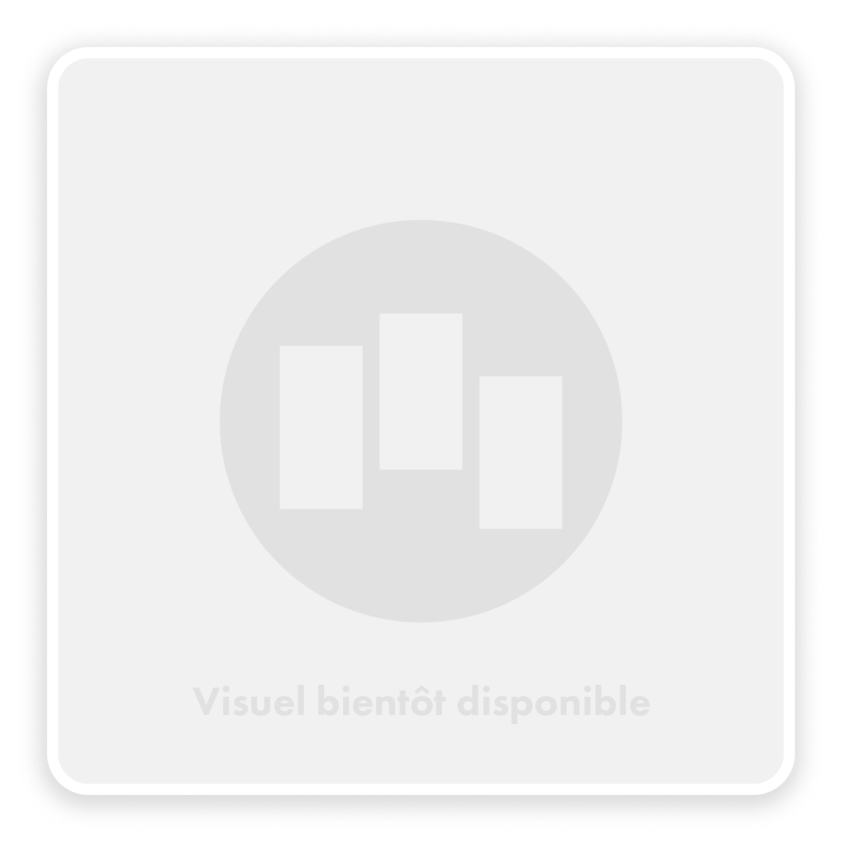 Badigeon de Chaux Badimat - Couleur CHAUX