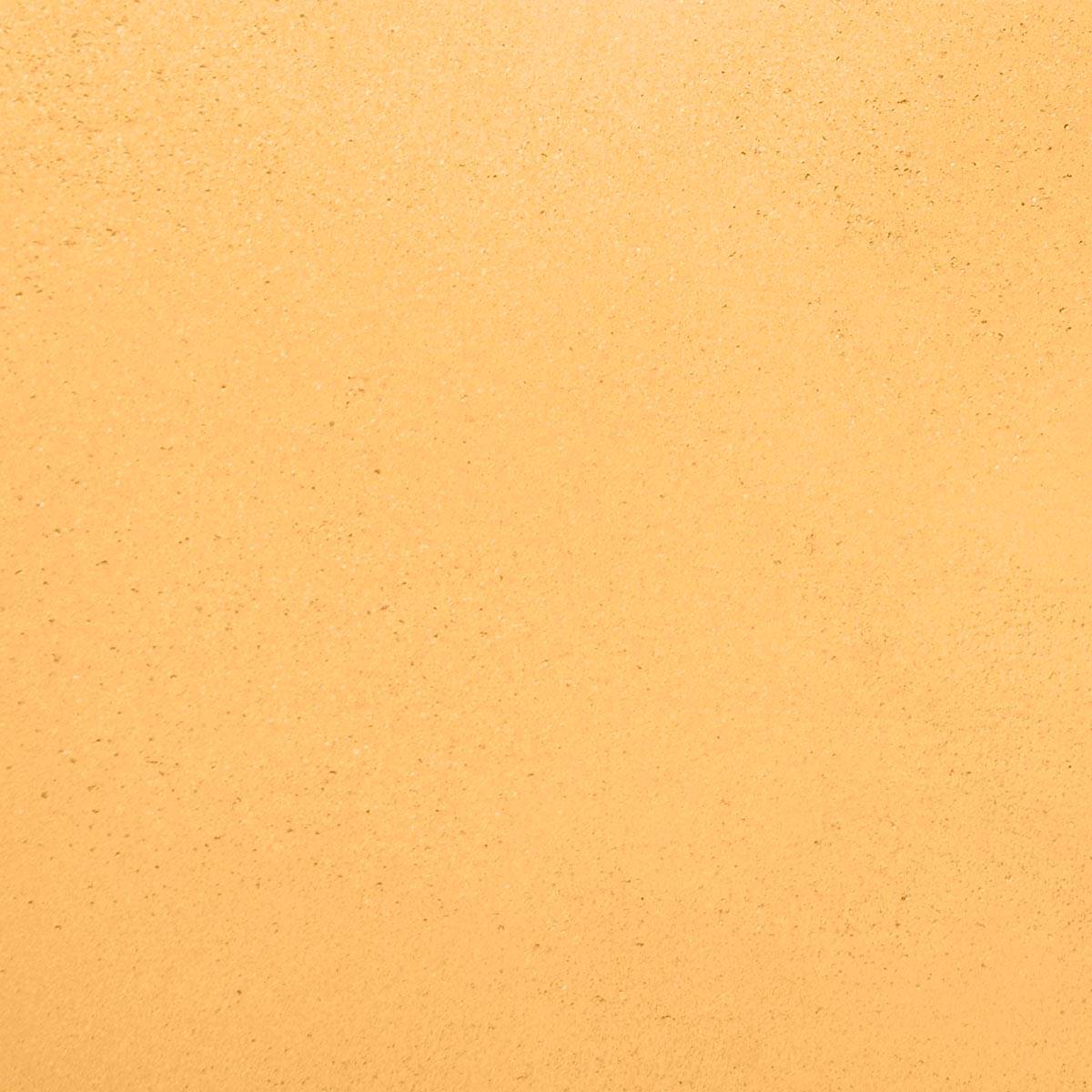 Enduit de Chaux Naturelles - Marbrex L - Couleur PASTAGA