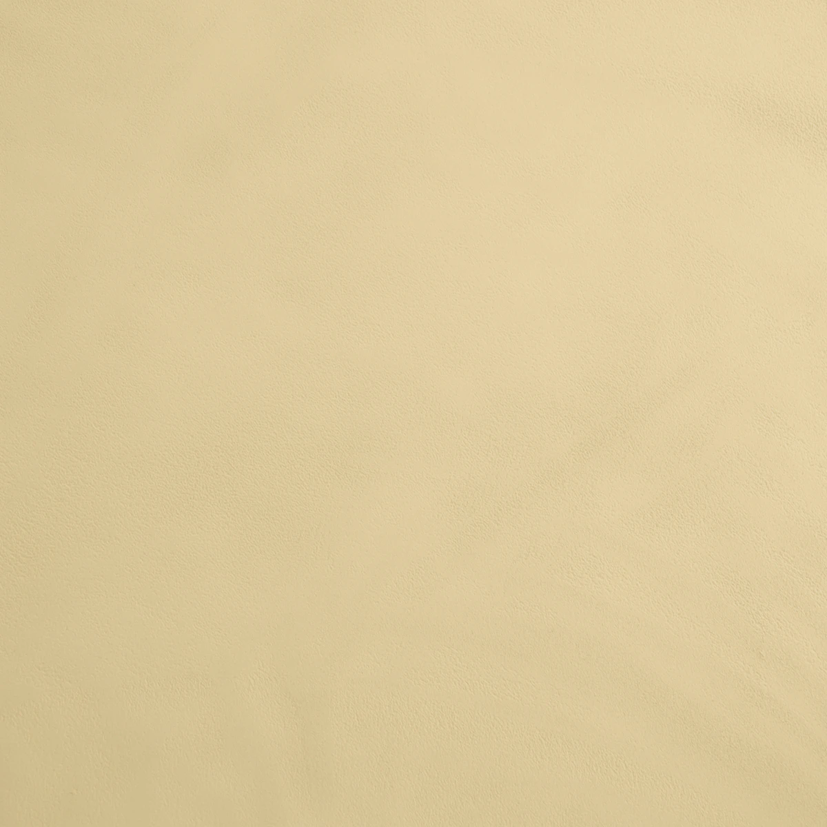 Finition Béton Lisse - Couleur MISO