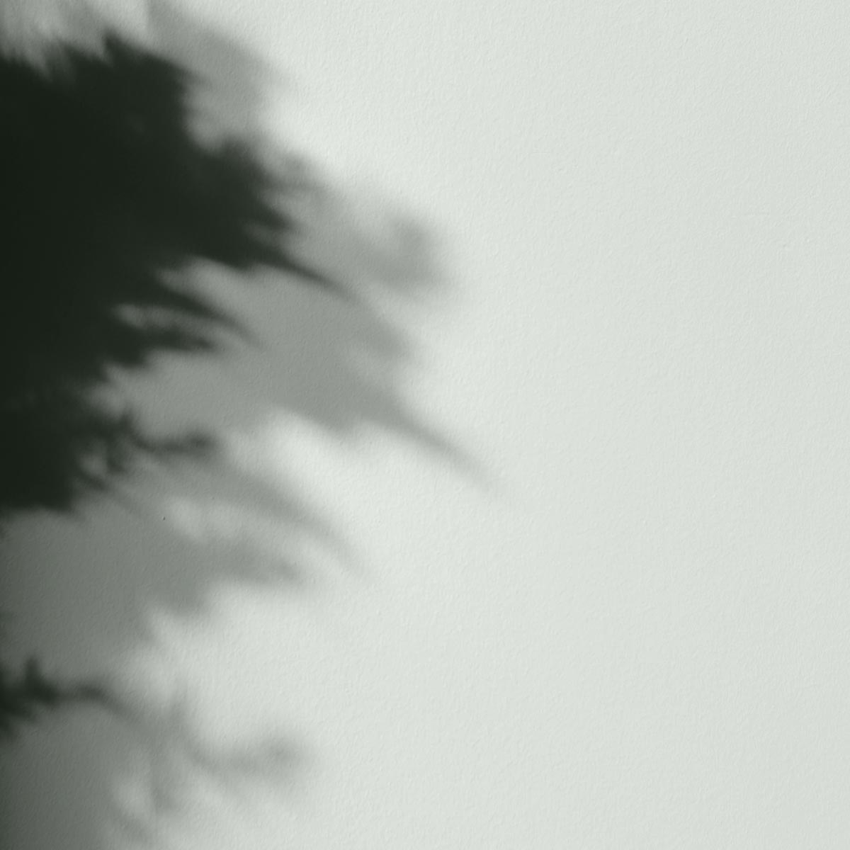 Peinture - La Céramat - Mat Profond - Couleur CRASSULA