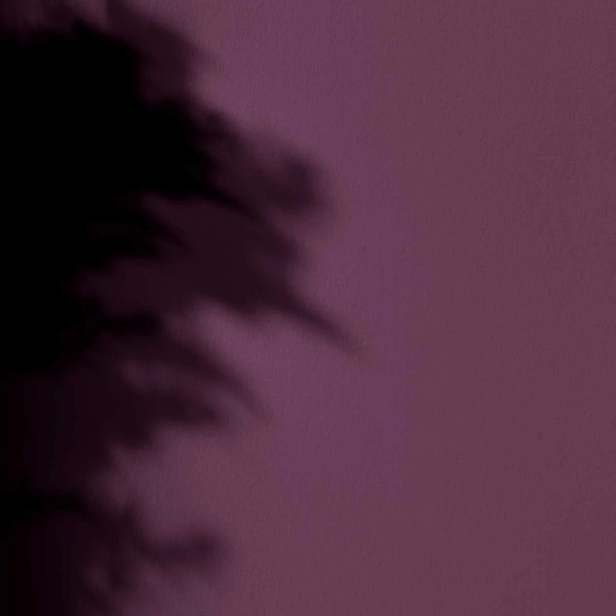 Peinture - La Premium - Mat Velours - Couleur VELVET