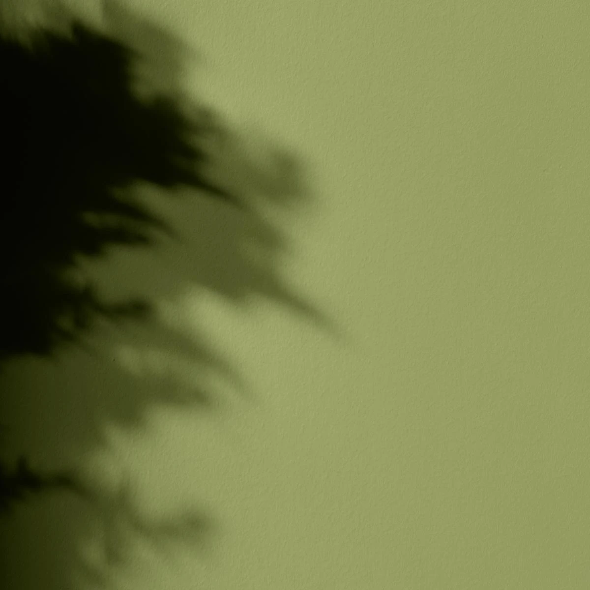 Peinture l'Extra - Satin - Couleur BERTHE