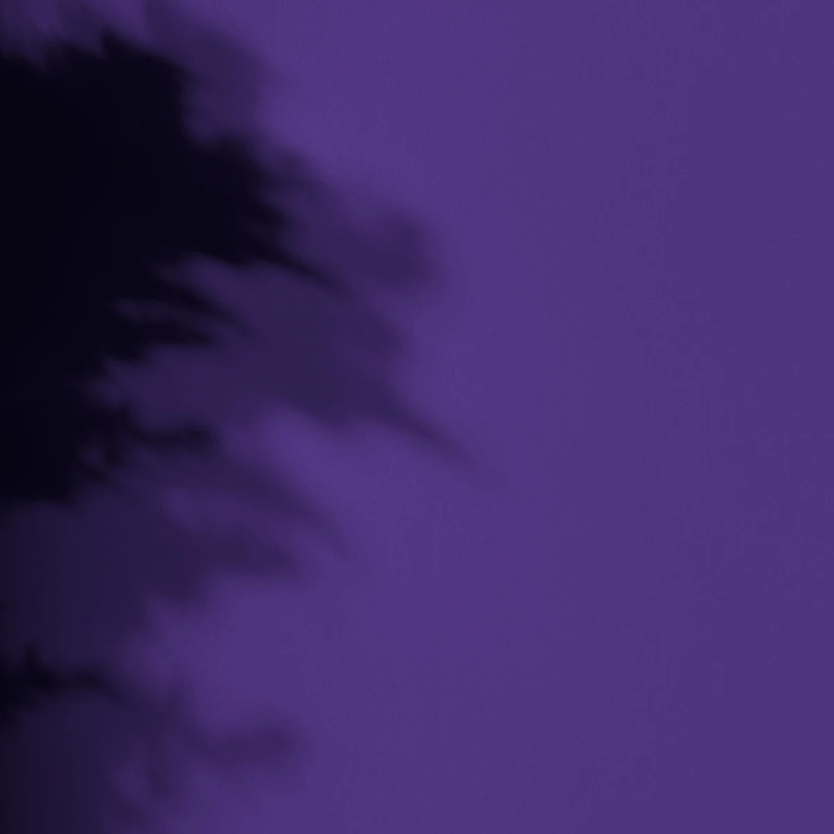 Peinture l'Extra - Satin - Couleur JOKER