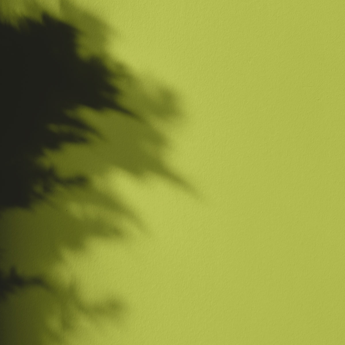 Peinture l'Extra - Satin - Couleur ROMANESCO