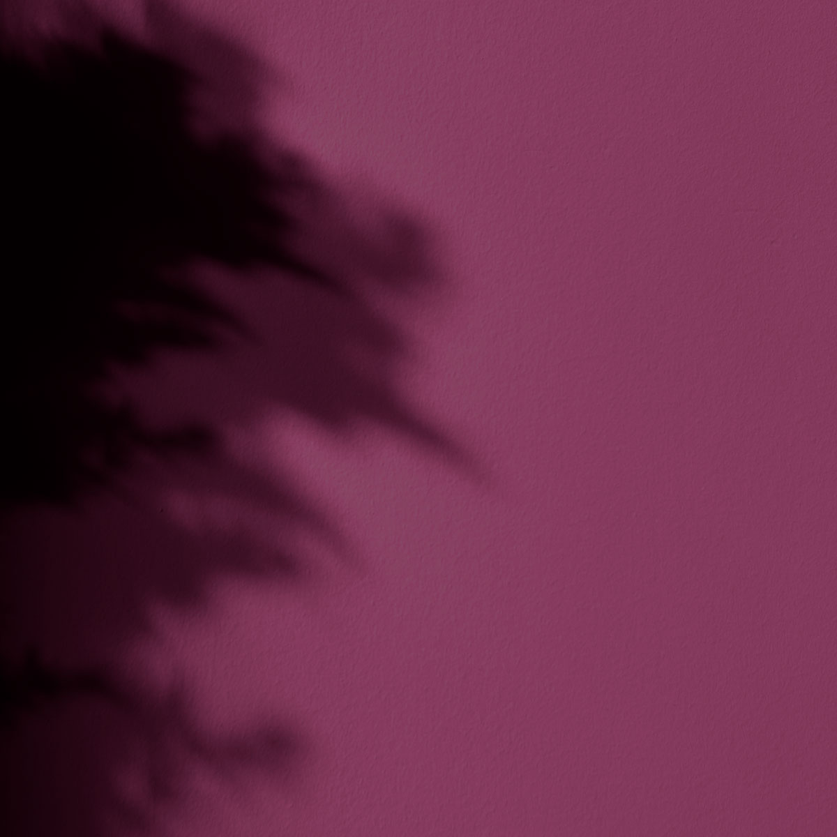 Peinture l'Extra - Satin - Couleur KIR