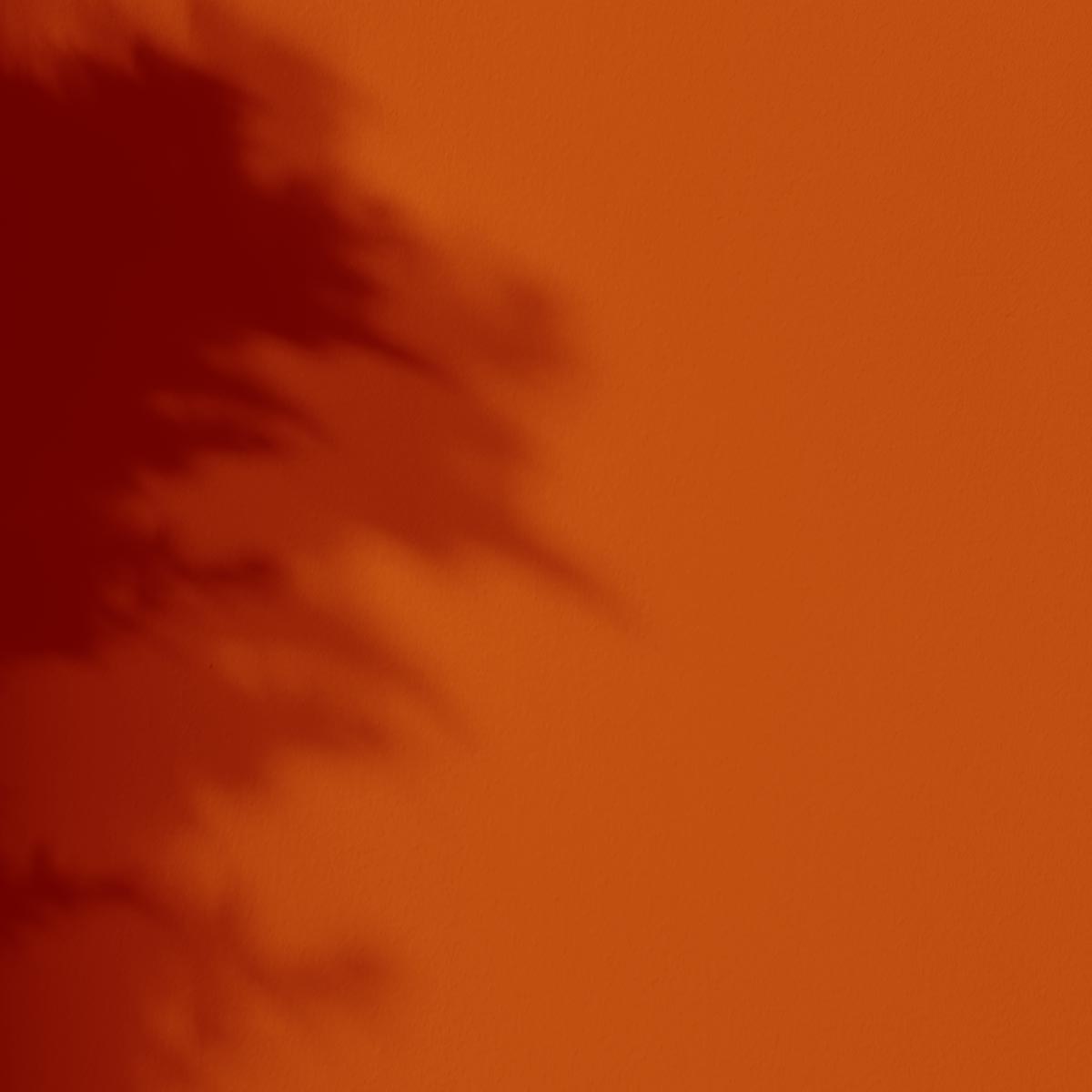Peinture l'Extra - Satin - Couleur TANGERINE
