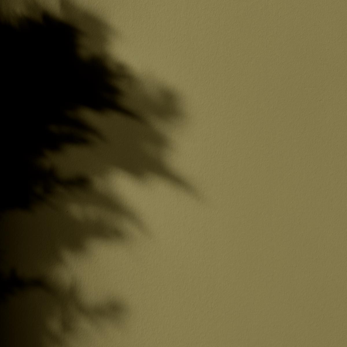 Peinture l'Extra - Satin - Couleur TIGER EYE