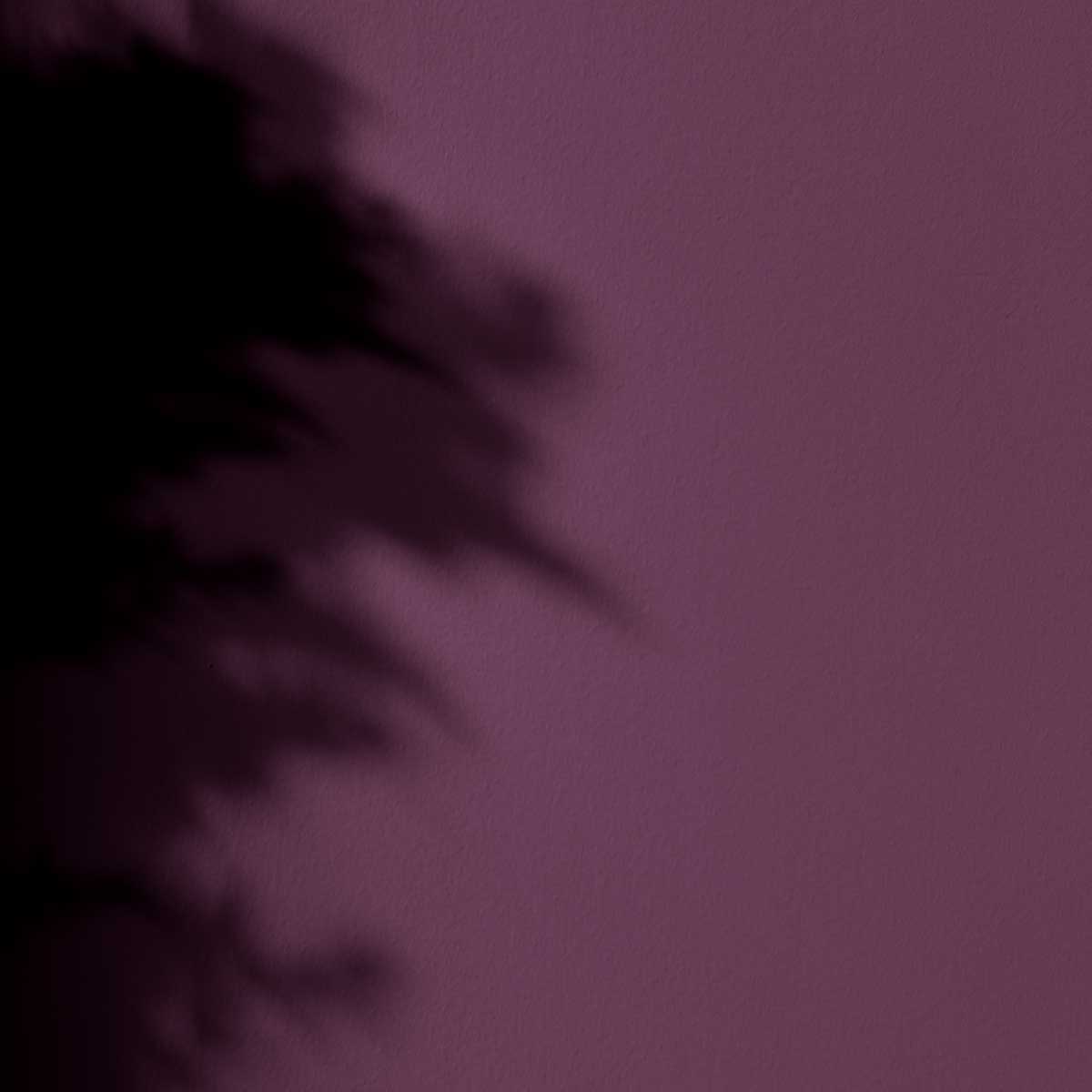 Peinture l'Extra - Satin - Couleur VELVET