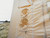 TENTE GONFLABLE OMAKEE CLASSIC