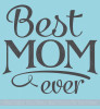 Best Mom Ever Wall Decor Vinyl Decal Stickers Quote Family Wall Words