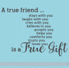 A True Friend.... is a True Gift Vinyl Wall Letters Decal Stickers