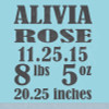Baby Stats Growth Chart Add-On Personalized Vinyl Lettering Decals Wall Stickers Art Baby Room Decor