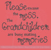 Excuse the Mess Grandchildren Making Memories Vinyl Wall Decals Stickers Quote