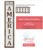 Patriotic Holiday Stencil Stickers America Stars Paint a Tall Wood Sign