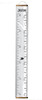 Birch Trees Canvas Growth Chart Sign Baby to Adult Height Ruler Tracker Walnut with Name