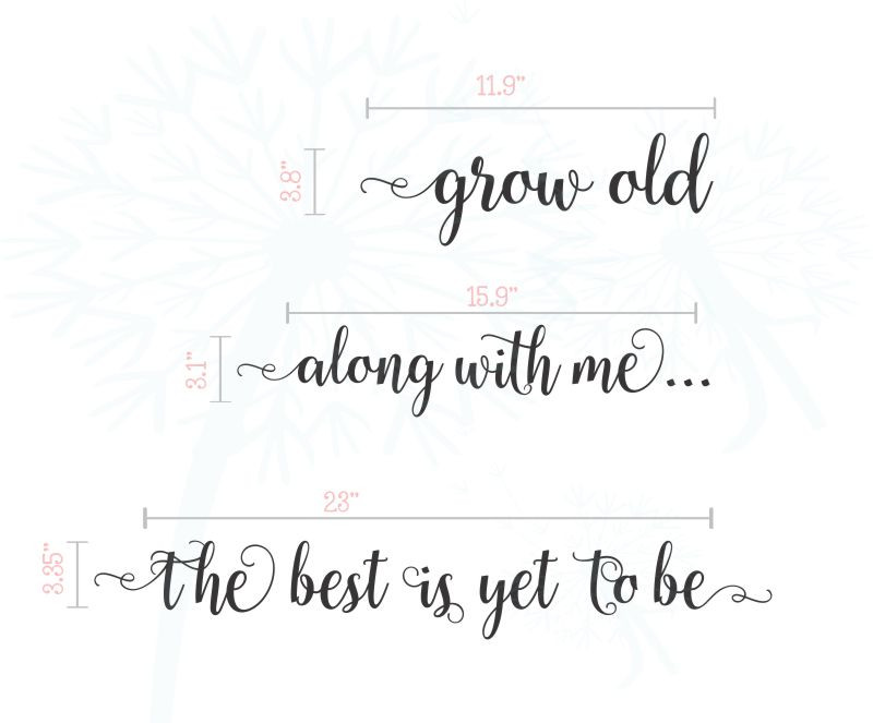 Grow Old Along With Me Bedroom Wall Saying Vinyl Decal Stickers