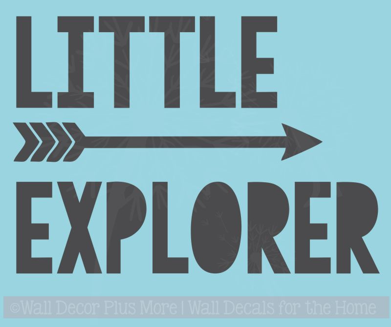 explorer nursery decor